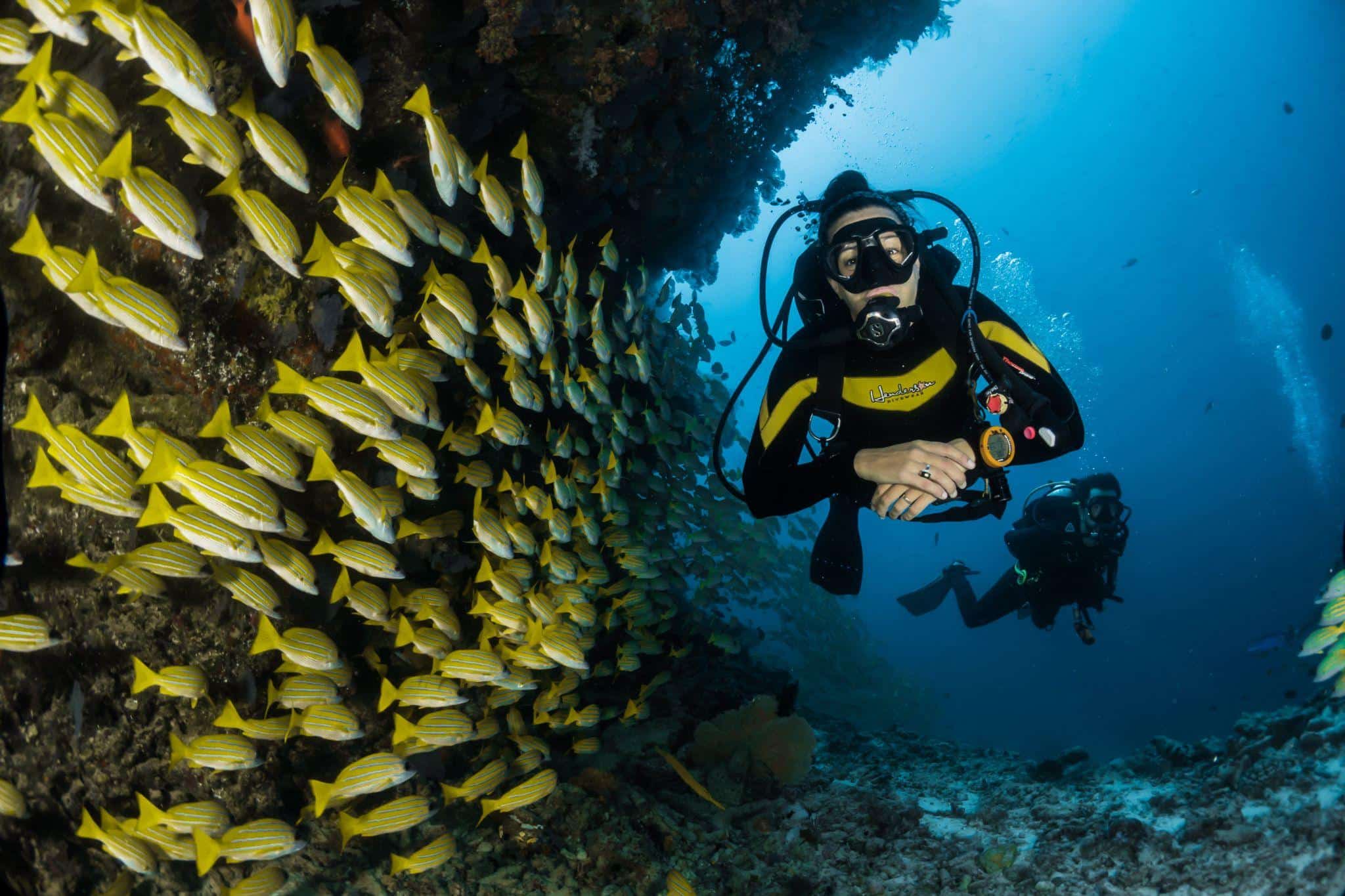 Les 7 Plus Beaux Spots De Plongée Au Monde - Club Voyageur