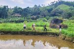 des touristes au Vietnam